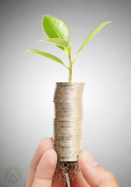 plant sprouting from coins