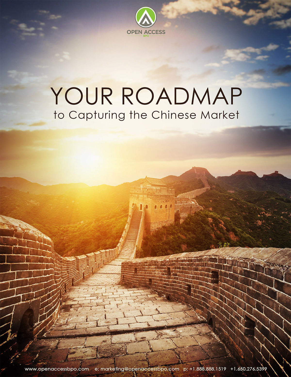 Your Roadmap to Capturing the Chinese Market