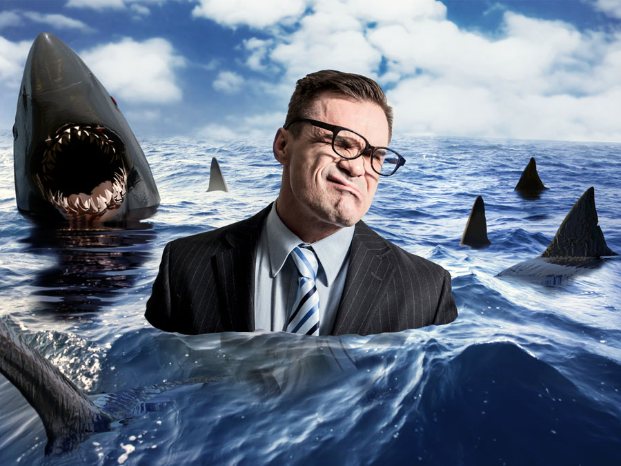 social media marketing manager in ocean surrounded by sharks