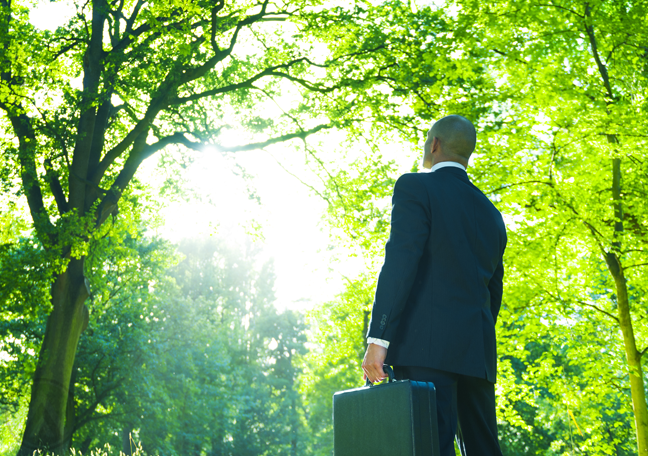 businessman-in-suit-suitcase-standing-in-middle-of-forest-woods-trees