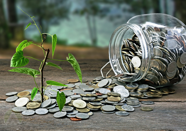 jar-overflowing-with-coins-on-growing-plant
