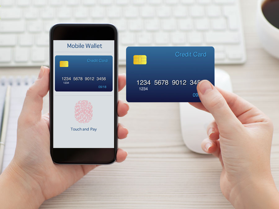 hand holding phone credit card showing ecommerce