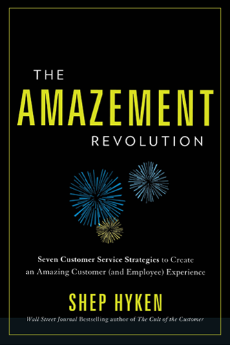 the Amazement Revolution book cover