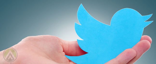 hand holding paper bird cutout twitter