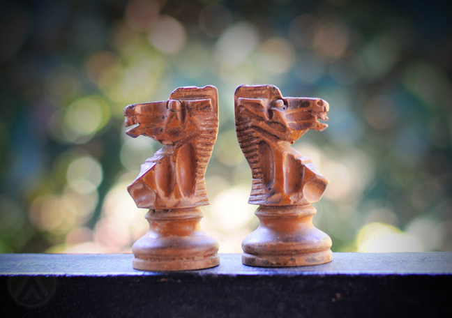 wooden knight chess pieces about faced