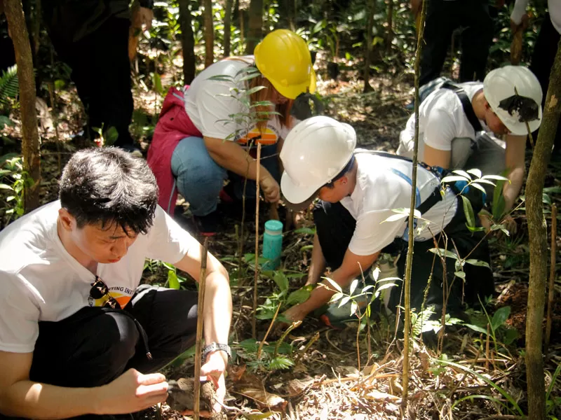 Open Access employee volunteers actively plant native tree saplings in the UP Laguna-Quezon Land Grant forest